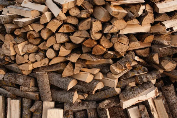 Seasoned firewood bundle