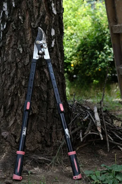 Bypass pruning loppers