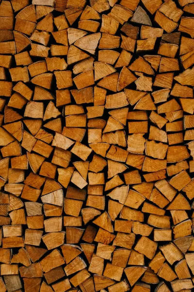 Seasoned oak firewood