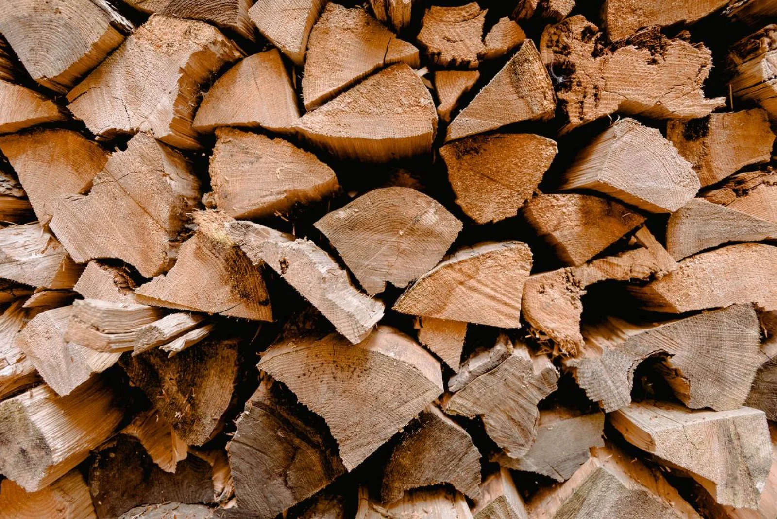 Kiln-dried firewood bundle